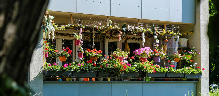 Urban Heat Island Effect 8 bloemen balkon