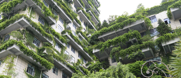 Urban Heat Island Effect 7 groene gevel stad