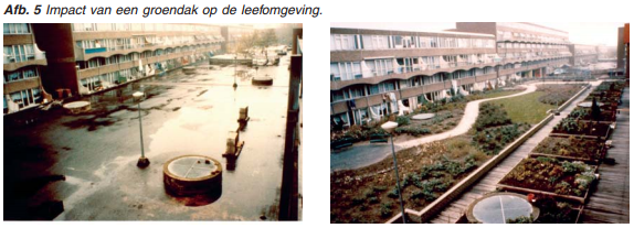 Groendak voordelen 23 Visuele impact groendak